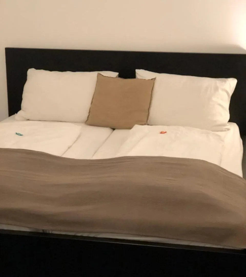 Boutique Hostel Zum Goldenen Kegel Vídeň